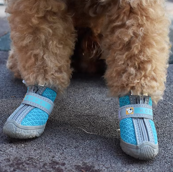 Dog boots