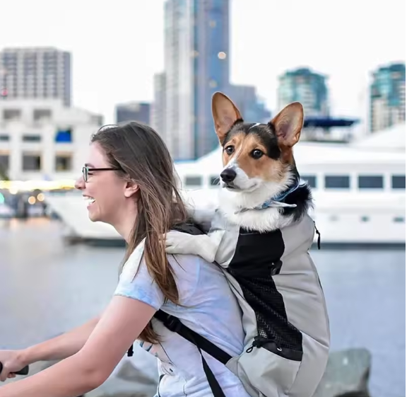 Dog backpack carrier